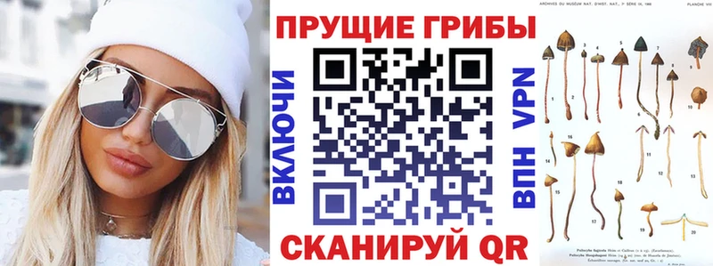 магазин    Петровск  Псилоцибиновые грибы мухоморы 