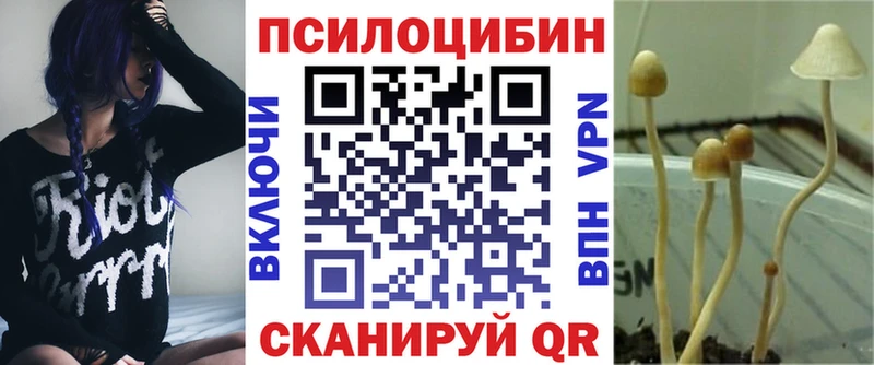 Галлюциногенные грибы прущие грибы Петровск