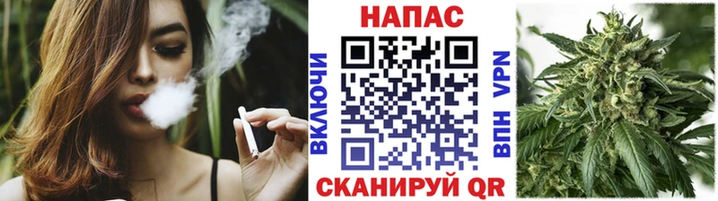 Конопля сатива  Петровск 